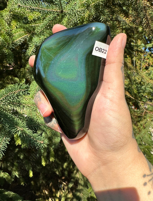 Rainbow Obsidian Freeform 22