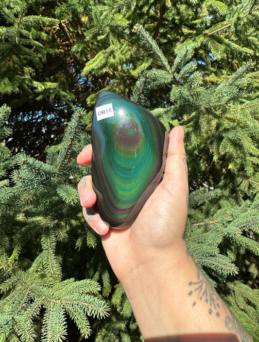 Rainbow Obsidian Freeform 18