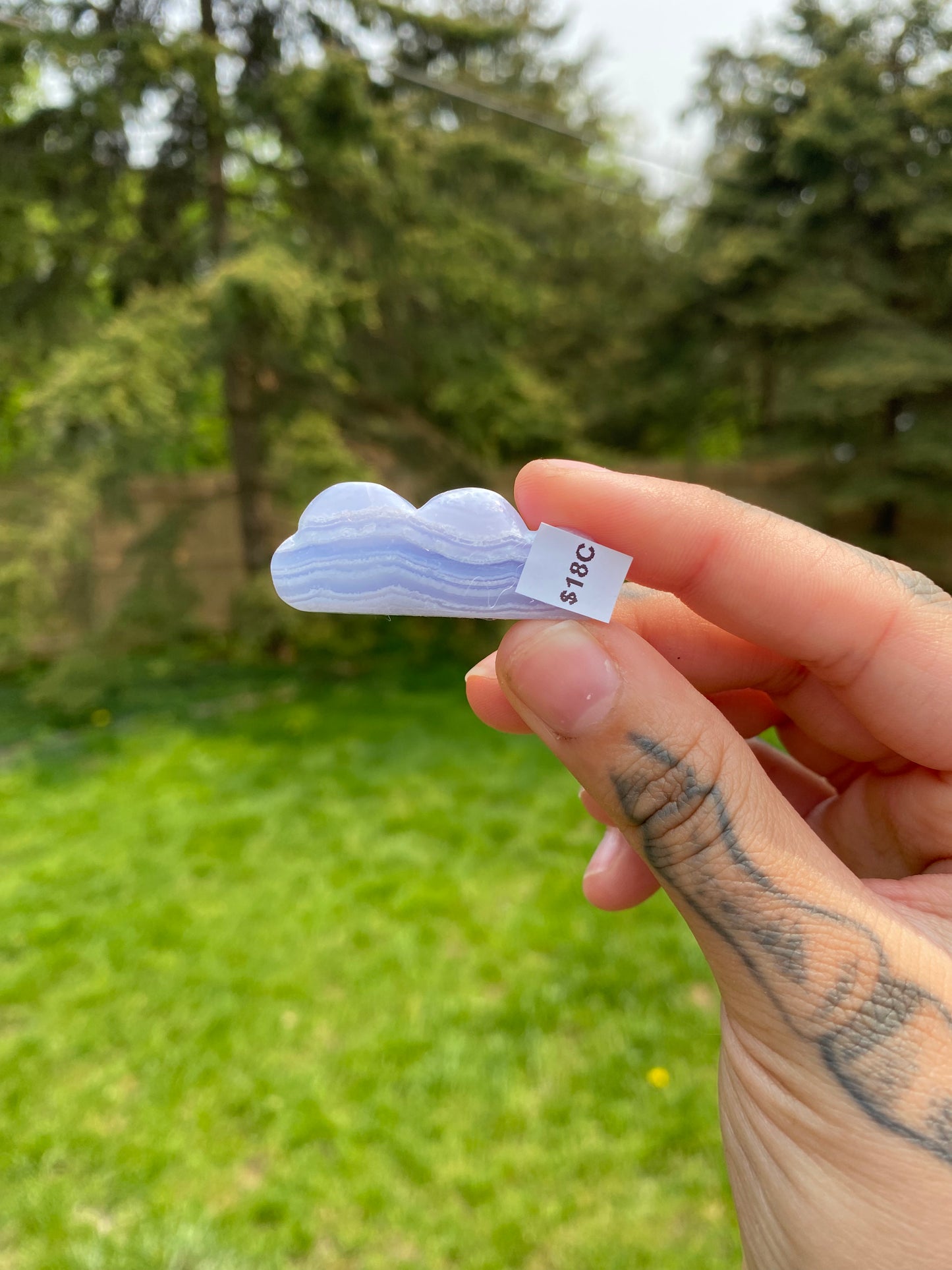 Blue Lace Agate Cloud Carvings